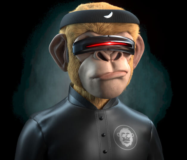 Monkey Boss #20581